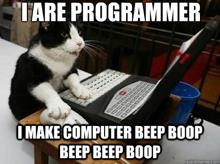 Coding Cat